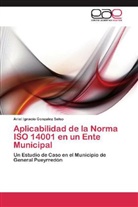 Ariel Ignacio Gonzalez Salso - Aplicabilidad de la Norma ISO 14001 en un Ente Municipal