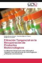 Gerard Albarran Torres, Gerardo Albarran Torres, Ga, Sergio Garcia Salas, Carlo Orozco Alvarez, Carlos Orozco Alvarez - Filtración Tangencial en la Recuperación de Productos Biotecnológicos