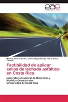 Mónic Jiménez Acuña, Mónica Jiménez Acuña, Molina, Doris Molina Zamora, Deni Sibaja Obando, Denia Sibaja Obando - Factibilidad de aplicar sellos de lechada asfáltica en Costa Rica