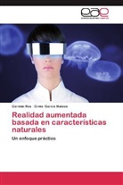 Ginés García Mateos, Germá Ros, Germán Ros - Realidad aumentada basada en características naturales