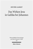 Zbynek Garsky, Zbyn?k Garský, Zbynek Garský - Das Wirken Jesu in Galiläa bei Johannes