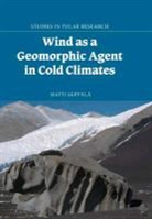 Matti Sepp L., Matti Sepp¿, Matti Seppala, SEPPALA MATTI - Wind As a Geomorphic Agent in Cold Climates