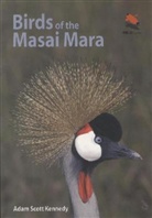 Adam Kennedy, Adam Sc. Kennedy, Adam Scott Kennedy, Kennedy Adam Scott, Adam Scott Kennedy - Birds of the Masai Mara