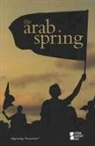 Lynn (EDT) Zott, Margaret Haerens, Lynn Zott, Lynn M. Zott - The Arab Spring