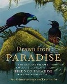 David Attenborough, David/ Fuller Attenborough, Errol Fuller - Drawn from Paradise