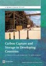 Eleanor Ereira, Natalia Kulichenko, Natalya Kulichenko, Natalya/ Ereira Kulichenko - Carbon Capture and Storage in Developing Countries