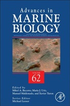 Michael (EDT) Lesser, Michael Lesser, Michael P. Lesser - Advances in Sponge Science