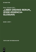 Pete Schmitt, Peter Schmitt - "Liber ordinis rerum" (Esse-Essencia-Glossar), 2 Teile