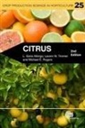 L G Albrigo, L. G. Albrigo, L. Gene Albrigo, L. Gene (University of Florida Albrigo, L.G. Albrigo, Lg Albrigo... - Citrus