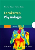 BRAU, Th. Braun, Thoma Braun, Thomas Braun, Weber, F. Weber... - Lernkarten Physiologie