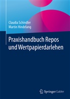 Hindelang, M Hindelang, Martin Hindelang, Schindle, Claudi Schindler, Claudia Schindler... - Praxishandbuch Repos und Wertpapierdarlehen