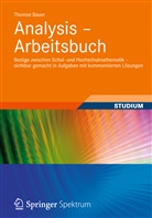 Thomas Bauer - Analysis - Arbeitsbuch