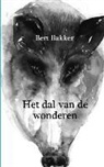 Bert Bakker, Bram Bakker - Vallee des Merveilles