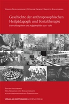 Frielingsdor, Volke Frielingsdorf, Volker Frielingsdorf, Grim, Rüdige Grimm, Rüdiger Grimm... - Geschichte der anthroposophischen Heilpädagogik und Sozialtherapie