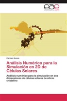 Carmen Ikaran - Análisis Numérico para la Simulación en 2D de Células Solares