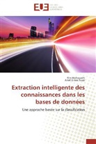 Amel Grissa Touzi, Ri Mahouachi, Rim Mahouachi - Extraction intelligente des