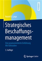 Rudolf Large, Rudolf O Large, Rudolf O. Large - Strategisches Beschaffungsmanagement