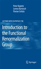 Loren Bartosch, Lorenz Bartosch, Pete Kopietz, Peter Kopietz, Florian Schütz - Introduction to the Functional Renormalization Group