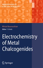 Mirtat Bouroushian - Electrochemistry of Metal Chalcogenides