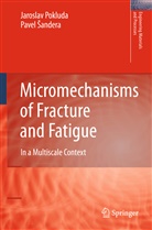 Pavel Andera, Jarosla Pokluda, Jaroslav Pokluda, Pavel Sandera, Pavel Šandera - Micromechanisms of Fracture and Fatigue