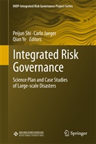 Carl Jaeger, Carlo Jaeger, Carlo C. Jaeger, Peijun Shi, Qian Ye - Integrated Risk Governance