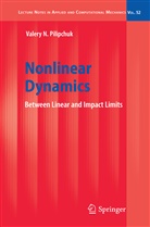 Valery N Pilipchuk, Valery N. Pilipchuk - Nonlinear Dynamics