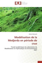 Adnen Marzouki, Marzouki-A - Modelisation de la medjerda en