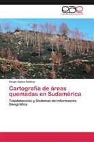 Sergio Opazo Saldivia - Cartografía de áreas quemadas en Sudamérica