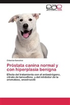 Griselda González - Próstata canina normal y con hiperplasia benigna