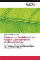 Bertha María Sanchez Garcia - Fuentes de Resistencia en Frijol A Colletotrichum Lindemuthianum