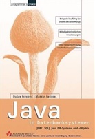 Markus Brüderl, Dusan Petkovic - Java in Datenbanksystemen, m. CD-ROM