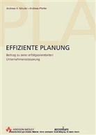 Andreas Pfeifer, Andreas H. Schuler - Effiziente Planung