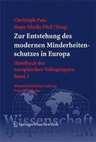 Christoph Pan, Beate S. Pfeil, Beate Sibylle Pfeil - Zur Entstehung des modernen Minderheitenschutzes in Europa