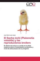 Juan Raúl Lucas López - El Sacha inchi (Plukenetia volubilis) y las reproductoras broilers