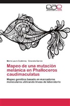 Graciela García, María Laur Gutiérrez, María Laura Gutiérrez - Mapeo de una mutación melánica en Phalloceros caudimaculatus