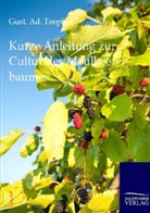 Gust  Ad Toepffer, Gust Ad Toepffer, Gust. Ad. Toepffer - Kurze Anleitung zur Cultur des Maulbeerbaumes