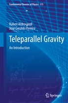 R. Aldrovandi, Rube Aldrovandi, Ruben Aldrovandi, Jos Geraldo Pereira, Jose Pereira, Jose G Pereira... - Teleparallel Gravity Volume 173