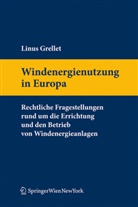 Linus Y. Grellet, Linus Yves Grellet - Windenergienutzung in Europa