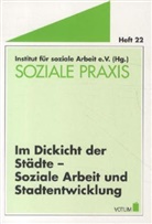 Jordan, Erwin Jordan, Hilmar Peter - Im Dickicht der Städte - Soziale Arbeit und Stadtentwicklung