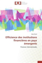 Kaba Diané, Diane-k - Efficience des institutions