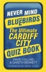 Gareth Bennett, David Collins - Never Mind the Bluebirds