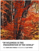 Eliot Porter, Henry D. Thoreau, Eliot Porter - In Wildness is the Preservation of the World