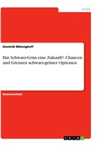 Dominik Mönnighoff - Hat Schwarz-Grün eine Zukunft?: Chancen und Grenzen schwarz-grüner Optionen