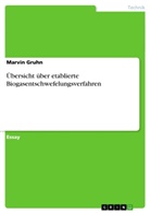 Marvin Gruhn - Übersicht über etablierte Biogasentschwefelungsverfahren