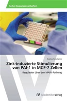 Andrea Hundsamer - Zink-induzierte Stimulierung von PAI-1 in MCF-7 Zellen