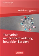 Raimund Erger, Raimund Erger - Sozialmanagement