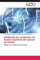 Maximin Redondo, Maximino Redondo, Maria José Roldán, Teresa Téllez - Inhibición de clusterina en líneas celulares de cáncer de mama
