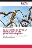 Agustín Valverde Granja - La Cascarilla de arroz, un residuo con un alto potencial energético