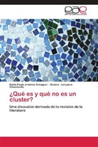 Karla Paol Jiménez Almaguer, Karla Paola Jiménez Almaguer, Junquera Cimadevilla, Beatriz Junquera Cimadevilla - ¿Qué es y qué no es un cluster?