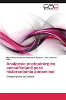 María de los Angele Campechano Ascencio, María de los Angeles Campechano Ascencio, Sánchez, Eloy Sánchez Hdz. - Analgesia postquirúrgica consufentanil para histerectomía abdominal